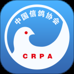 中国信鸽协会最新版