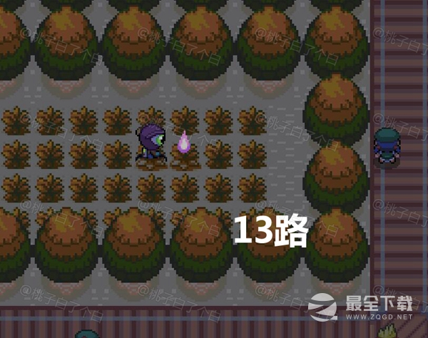 Pokemmo2023万圣节关都区域全鬼火分布位置一览