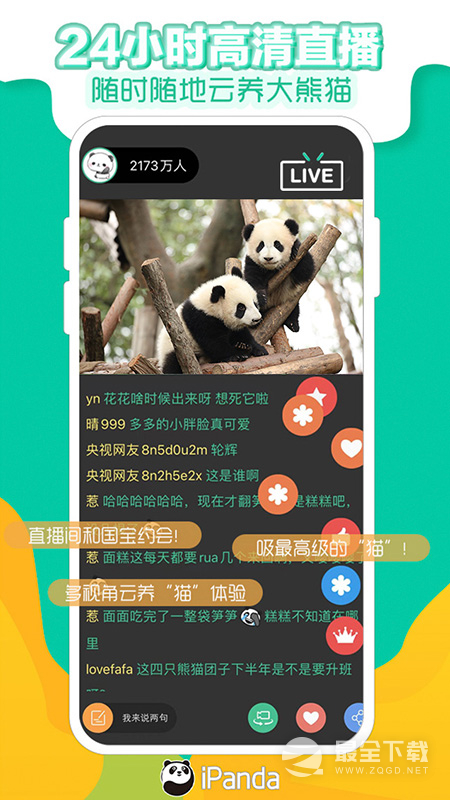 熊猫频道2024版0