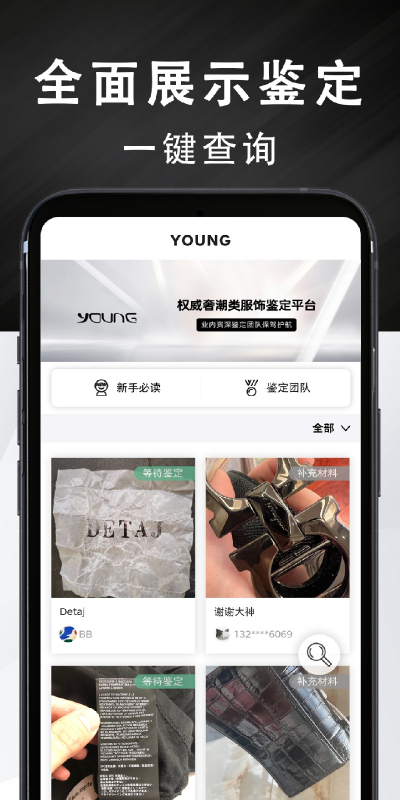 Young最新版0