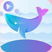 鲸鱼视频电视版