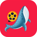 鲸鱼视频移动版