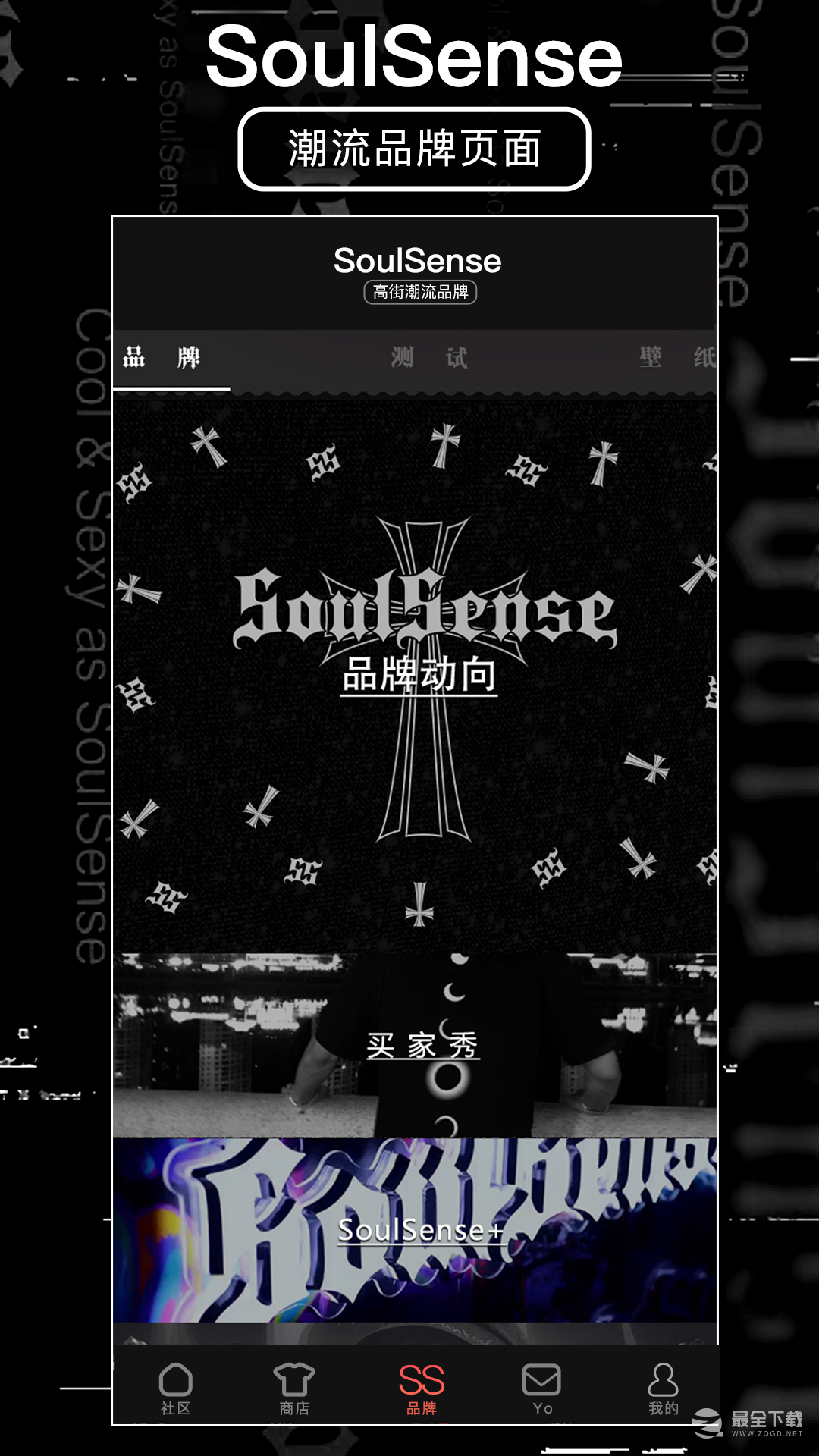 SoulSense2