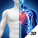 3D人体解剖图谱2024版